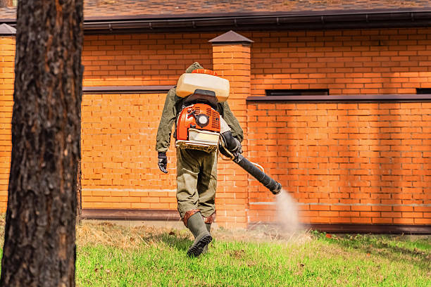 Bed Bug Clearance Verification and Documentation in Hebron
